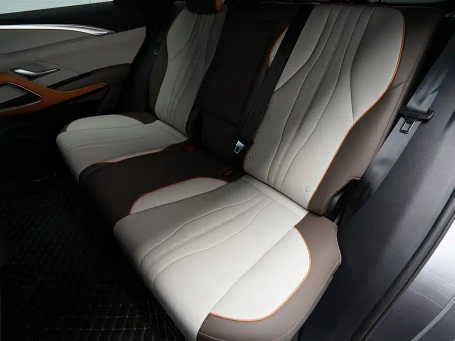 BYD Pro New Energy - фото 13