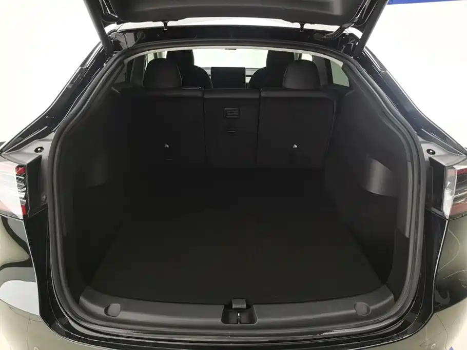 Tesla Model Y — миниатюра 4