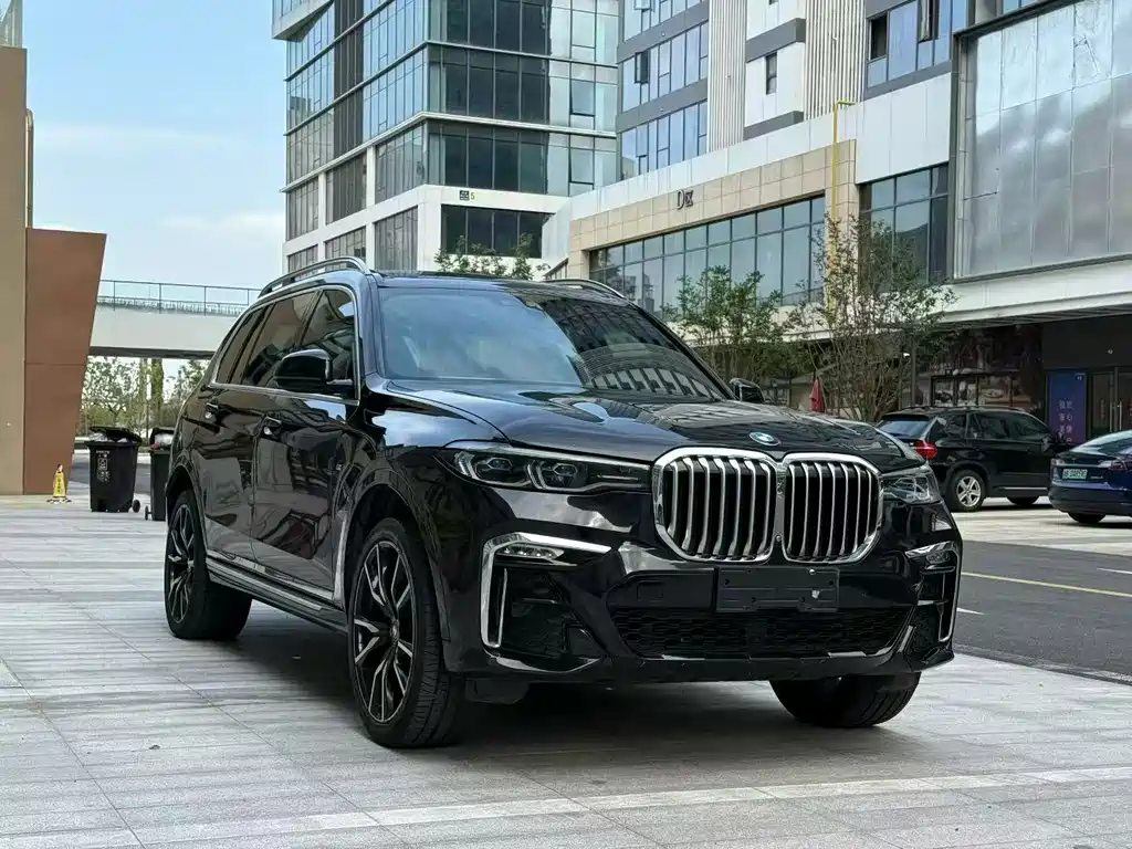 BMW X7 — миниатюра 3