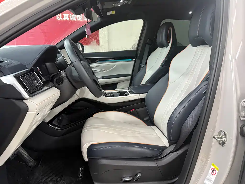 BYD PLUS New Energy — миниатюра 7