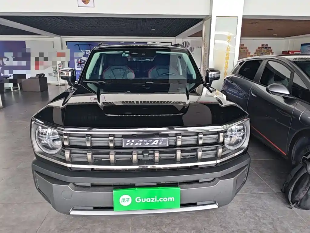 Haval Cool Dog — миниатюра 3