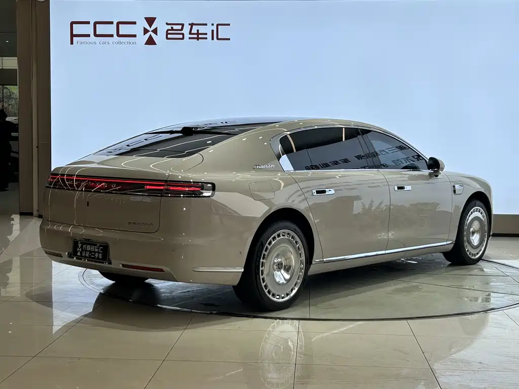 Maextro S800 2025 Executive 4 мест (192 ）