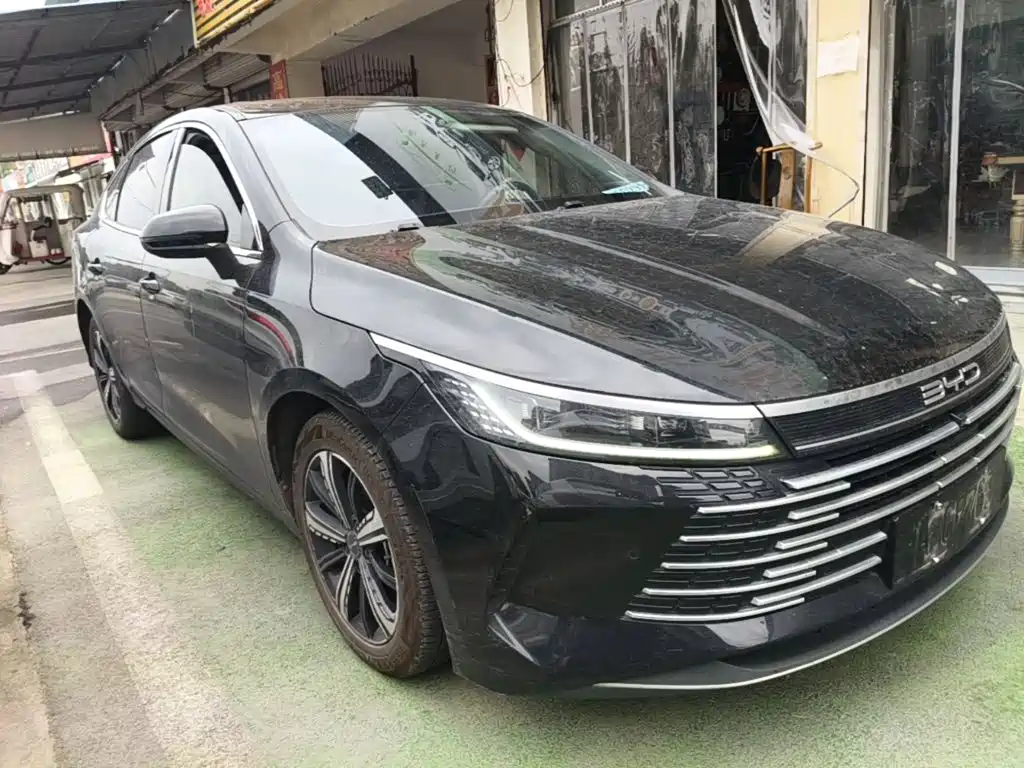 BYD Destroyer 05 — миниатюра 4