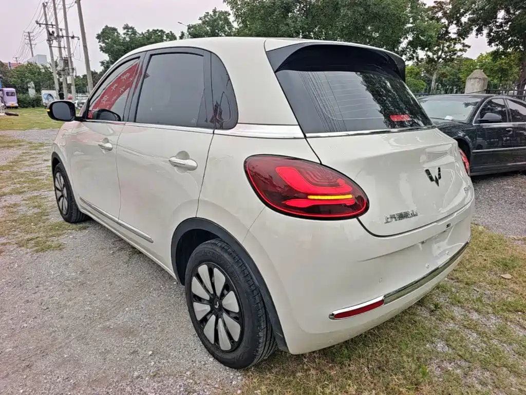 Wuling Binguo 2023 333km Enjoy +