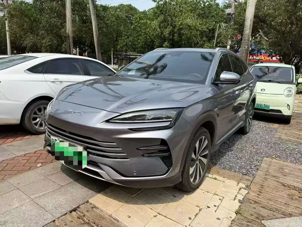 Byd PLUS New Energy 2024