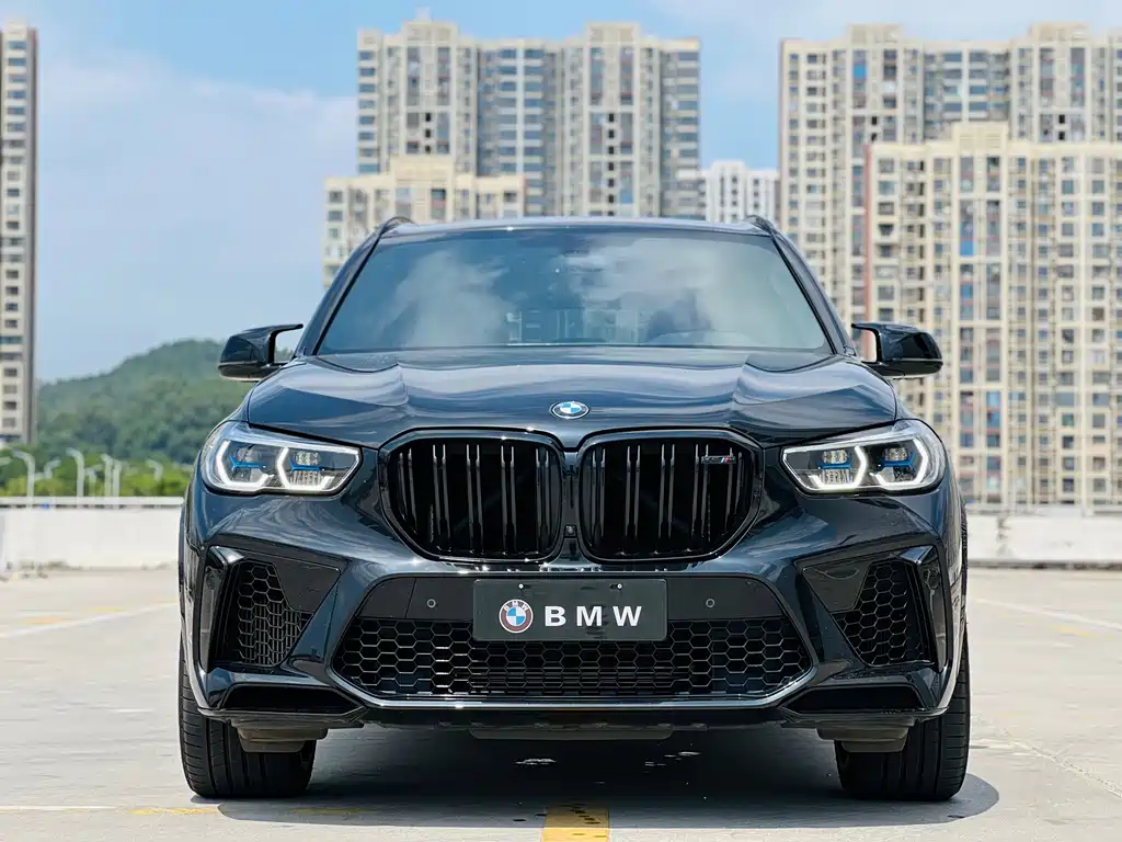 BMW X5 M — миниатюра 2