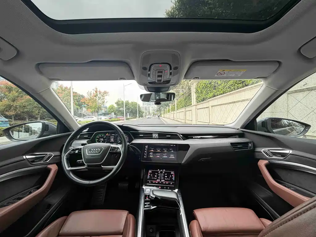 Audi e-tron (Import) — миниатюра 8
