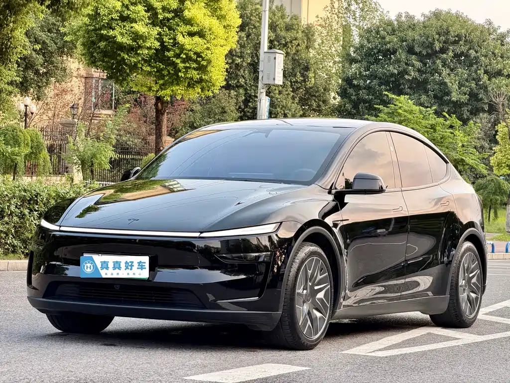 Tesla Model Y L