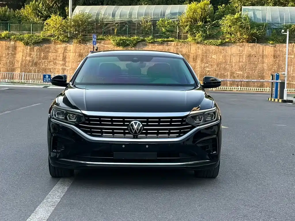 Volkswagen Passat — миниатюра 2