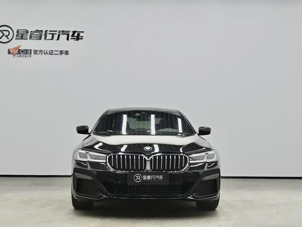 BMW 5 Series — миниатюра 2