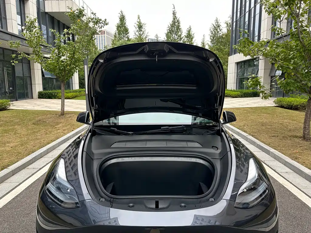 Tesla Model Y — миниатюра 27
