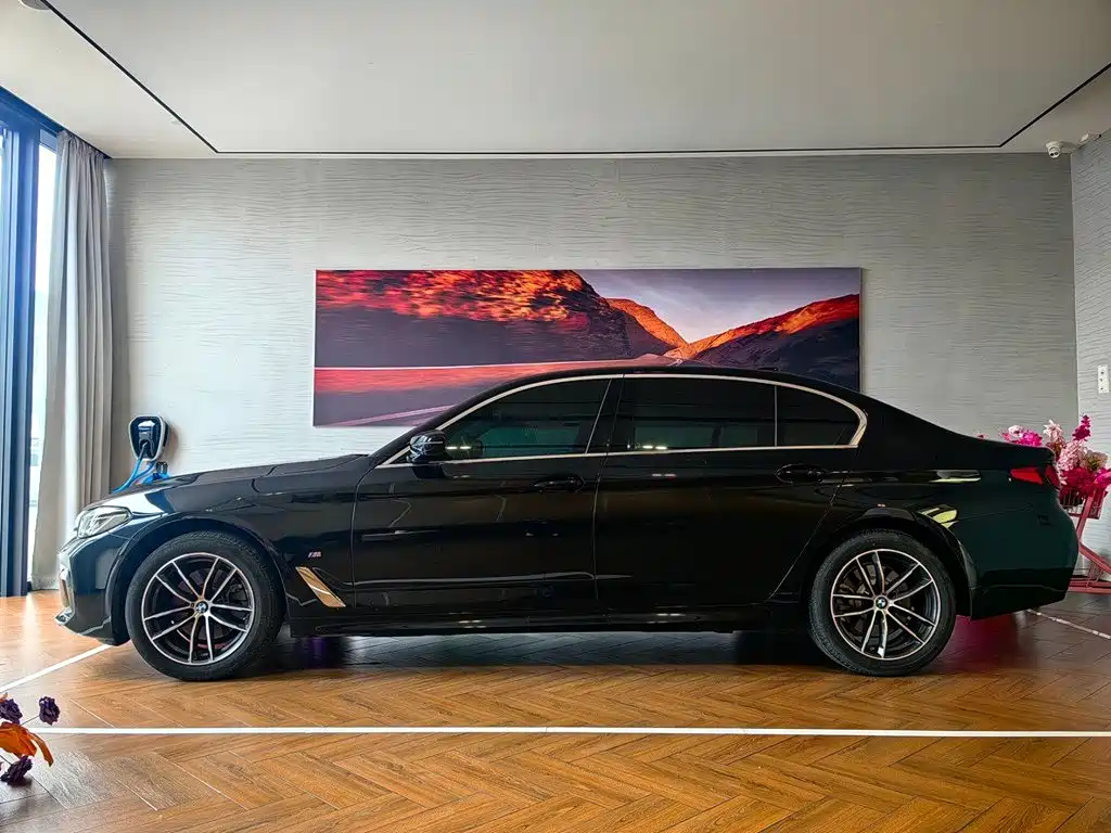 BMW 5 Series — миниатюра 3
