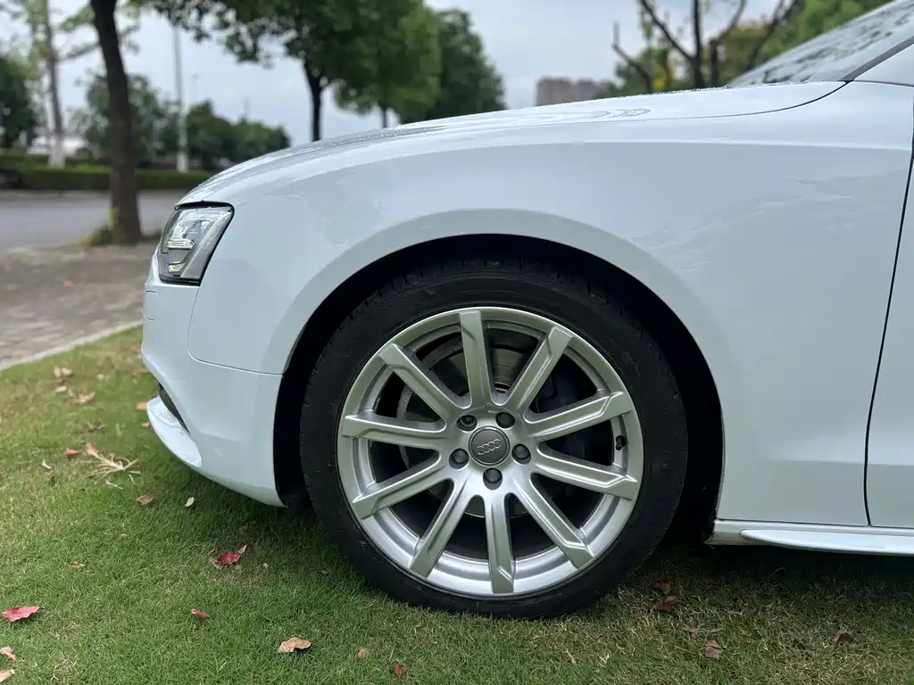 Audi A5 (Import) — миниатюра 15