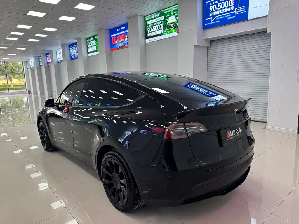 Tesla Model Y — миниатюра 4
