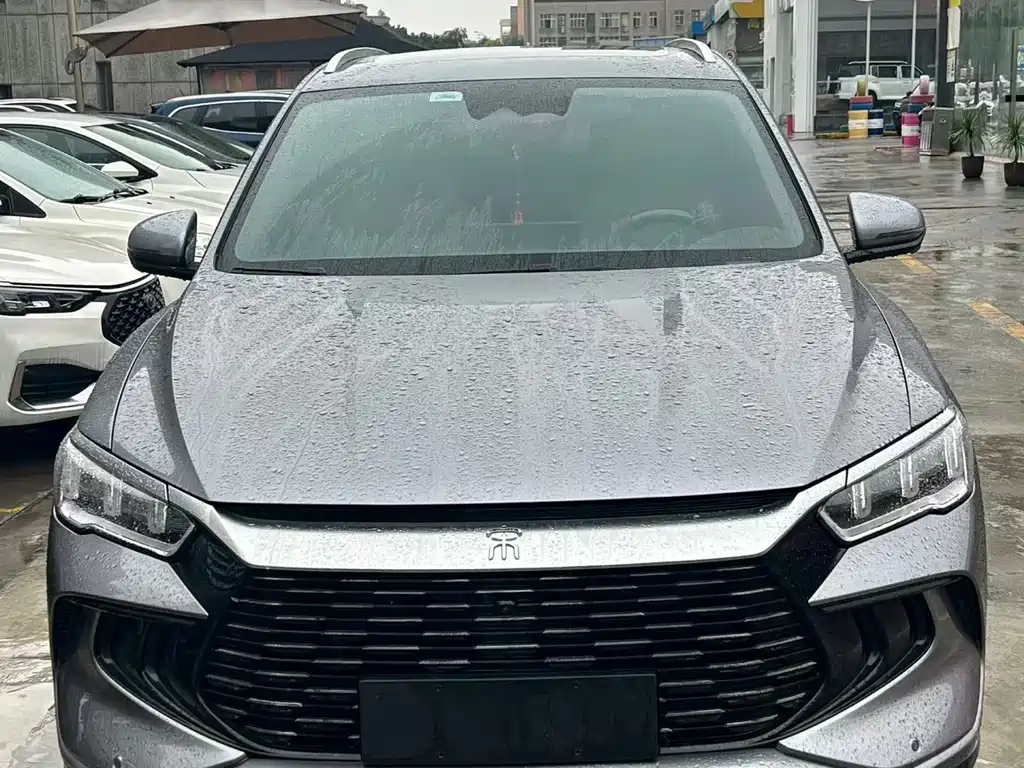 BYD Pro New Energy — миниатюра 2