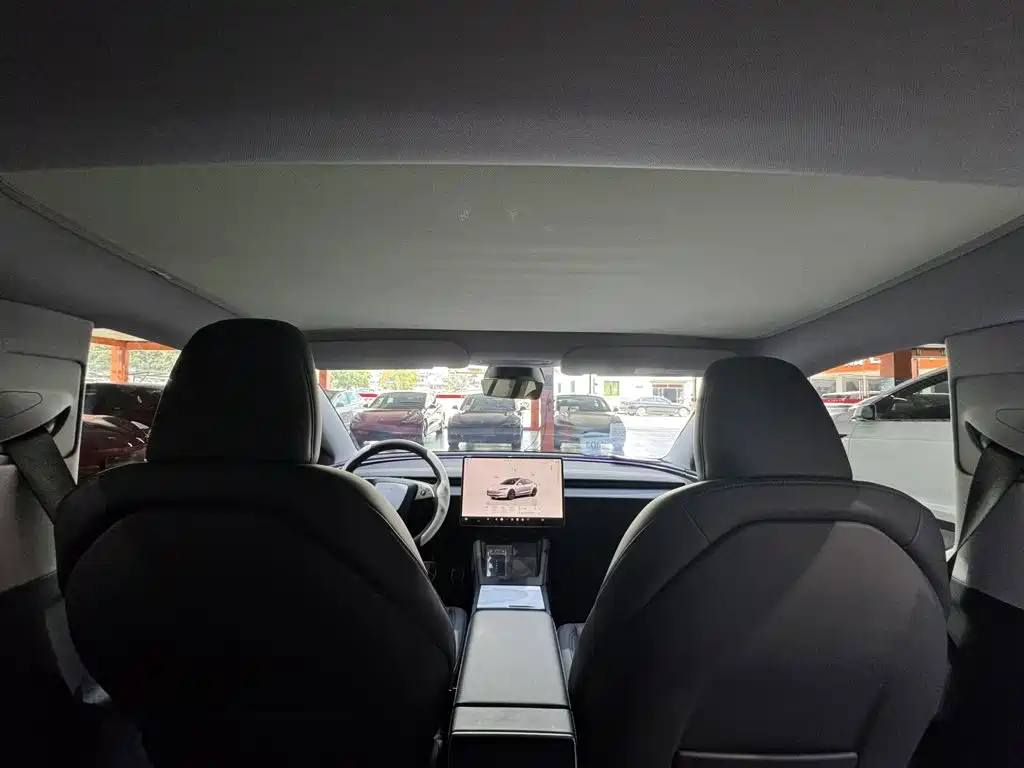 Tesla Model 3 — миниатюра 18