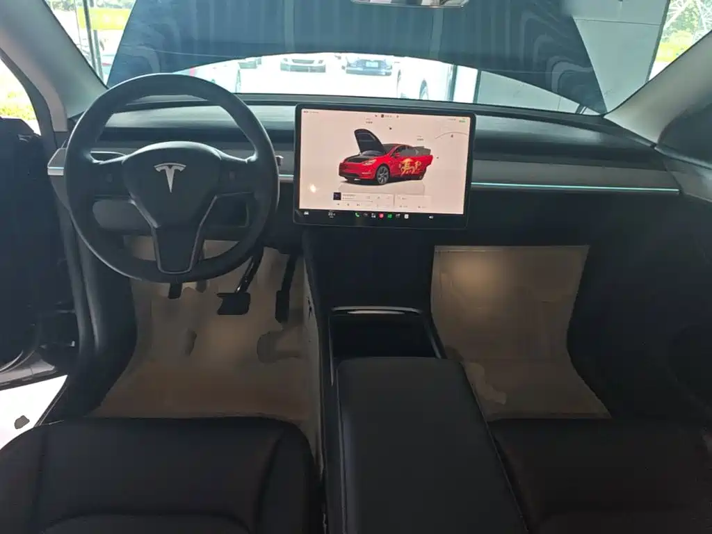 Tesla Model Y — миниатюра 10