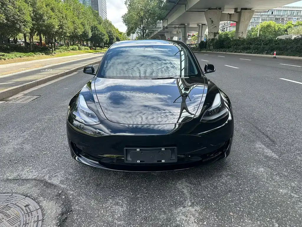 Tesla Model 3 — миниатюра 2