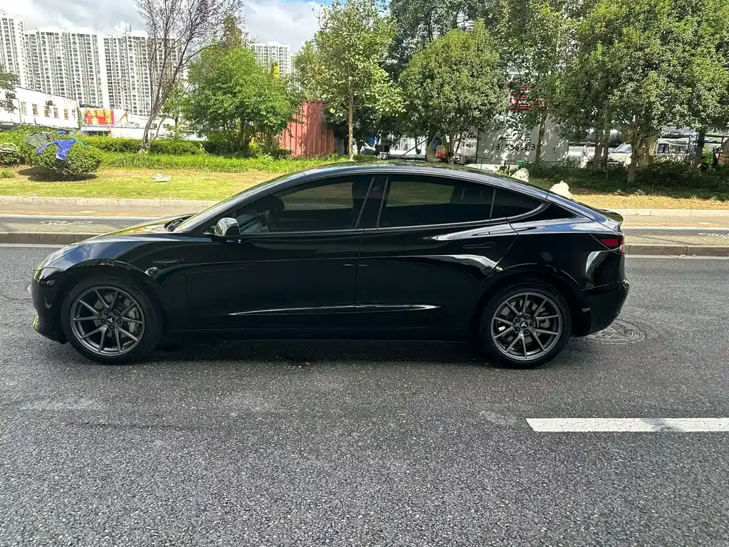 Tesla Model 3 — миниатюра 3
