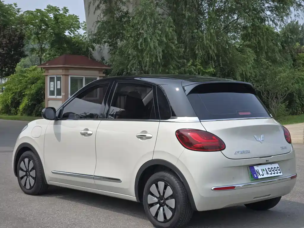 Wuling Binguo 2023 410km Premium