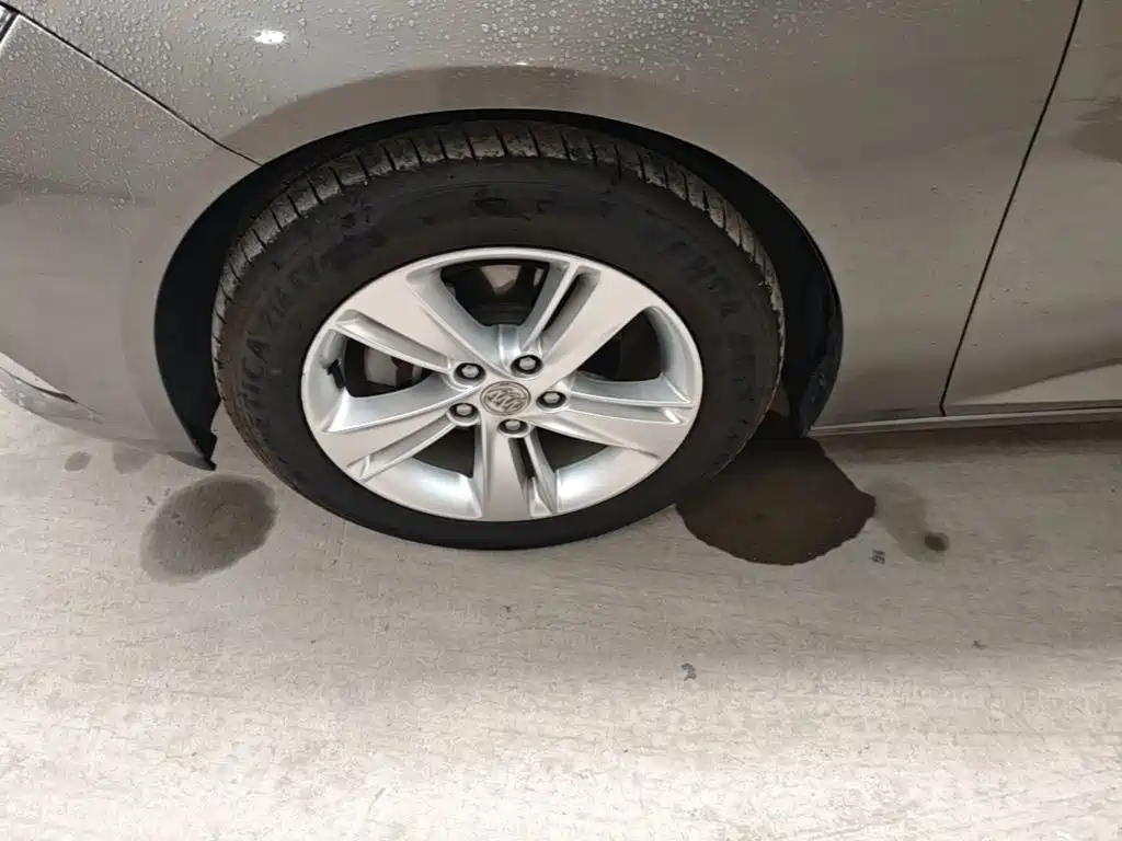 Buick Regal — миниатюра 23