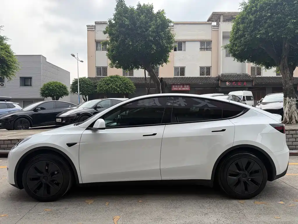Tesla Model Y — миниатюра 4