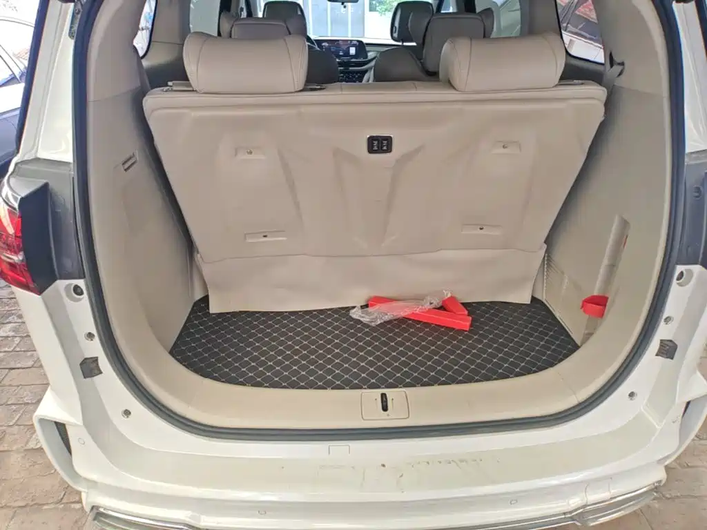 Buick GL8 — миниатюра 19