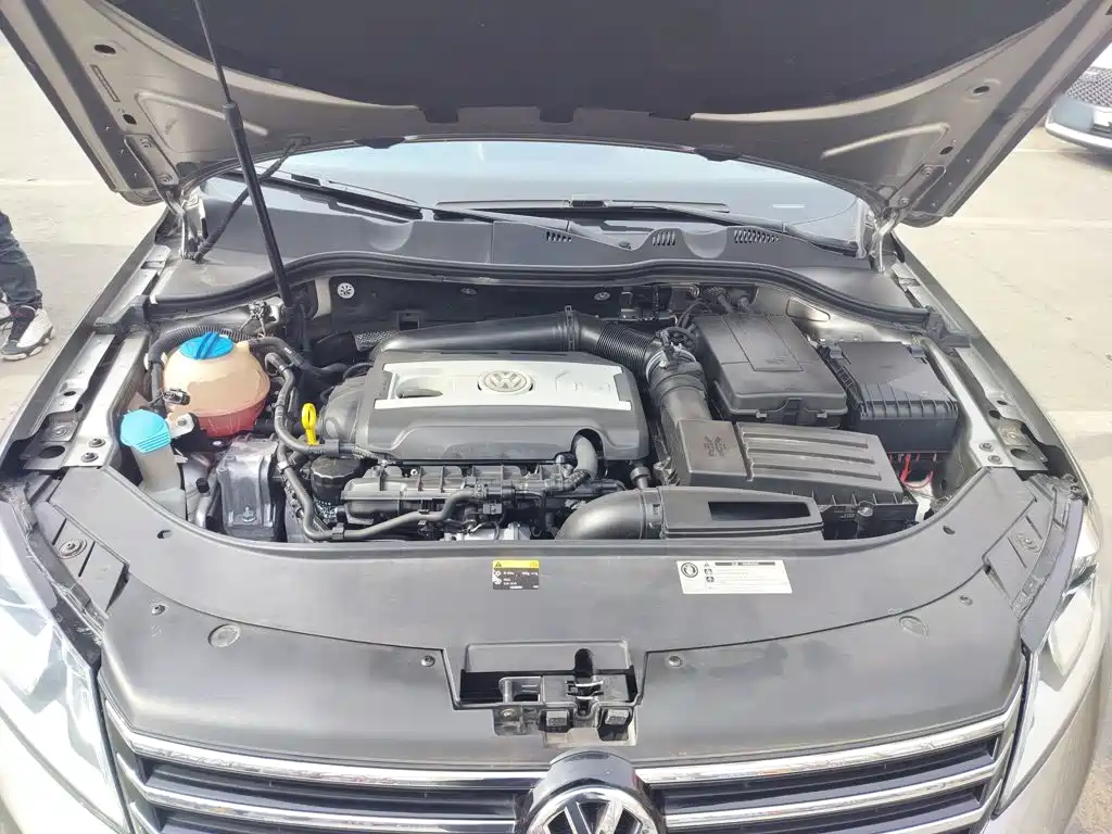 Volkswagen Magotan (Import) — миниатюра 16