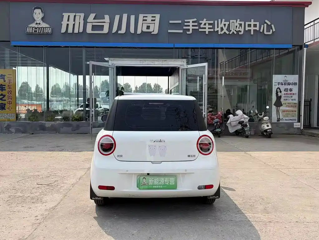 Qiyuan Lumin — миниатюра 8