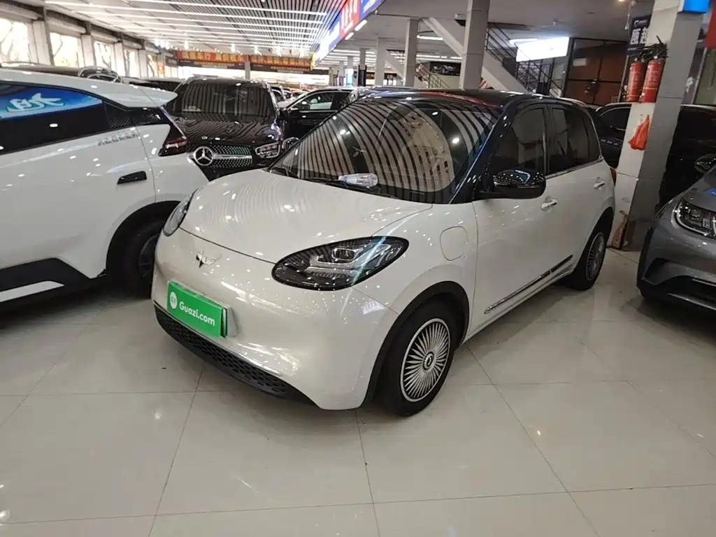 Wuling Binguo 2023 333km Enjoy +