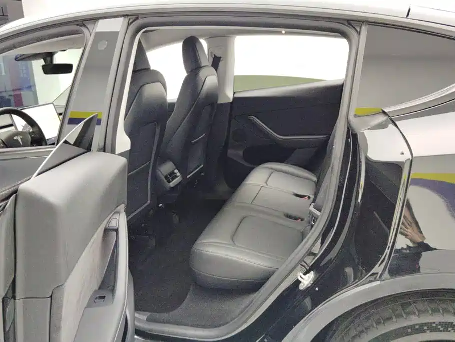 Tesla Model Y — миниатюра 11