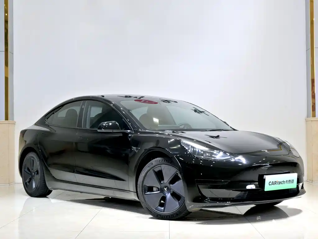 Tesla Model 3 — миниатюра 3