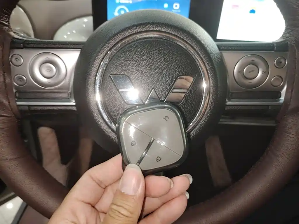 Wuling Binguo 2023 333km Enjoy +