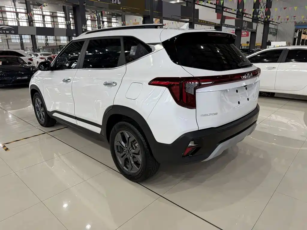 Kia Seltos — миниатюра 3