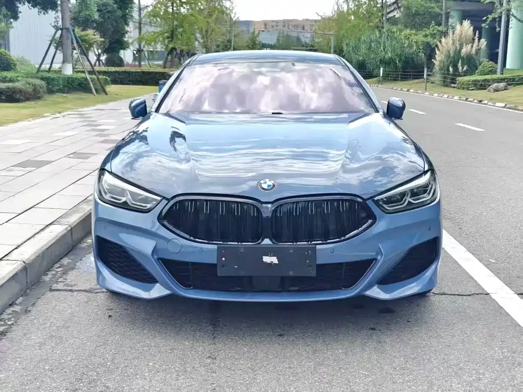 BMW 8 Series — миниатюра 2