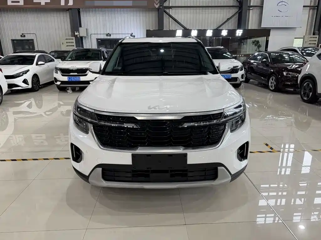 Kia Seltos — миниатюра 4