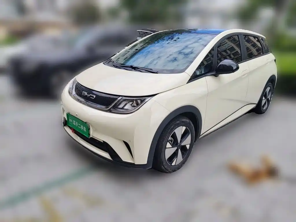 BYD Dolphin — миниатюра 2