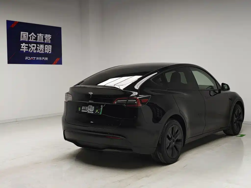 Tesla Model Y — миниатюра 4