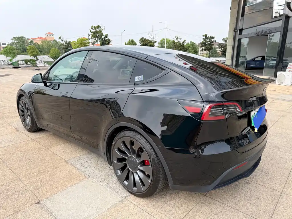 Tesla Model Y — миниатюра 4