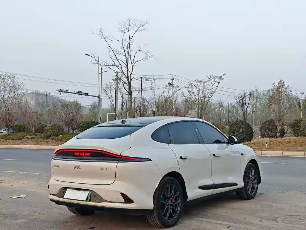 IM IM LS6 — миниатюра 9