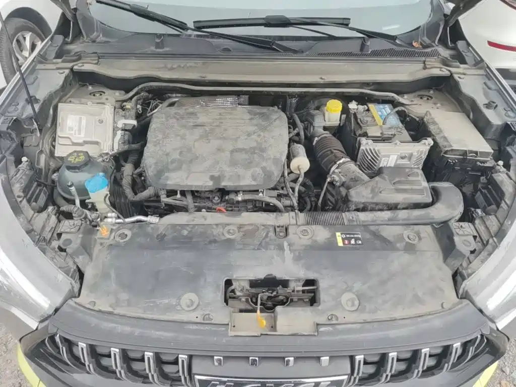 Haval Chitu — миниатюра 25