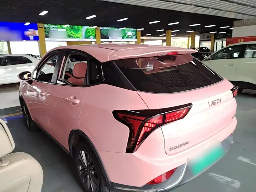 Neta Neta V — миниатюра 5
