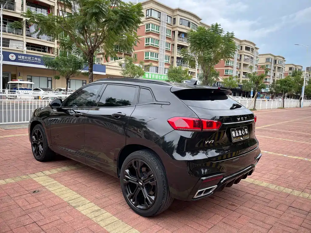 WEI PAI WEI BRAND VV7