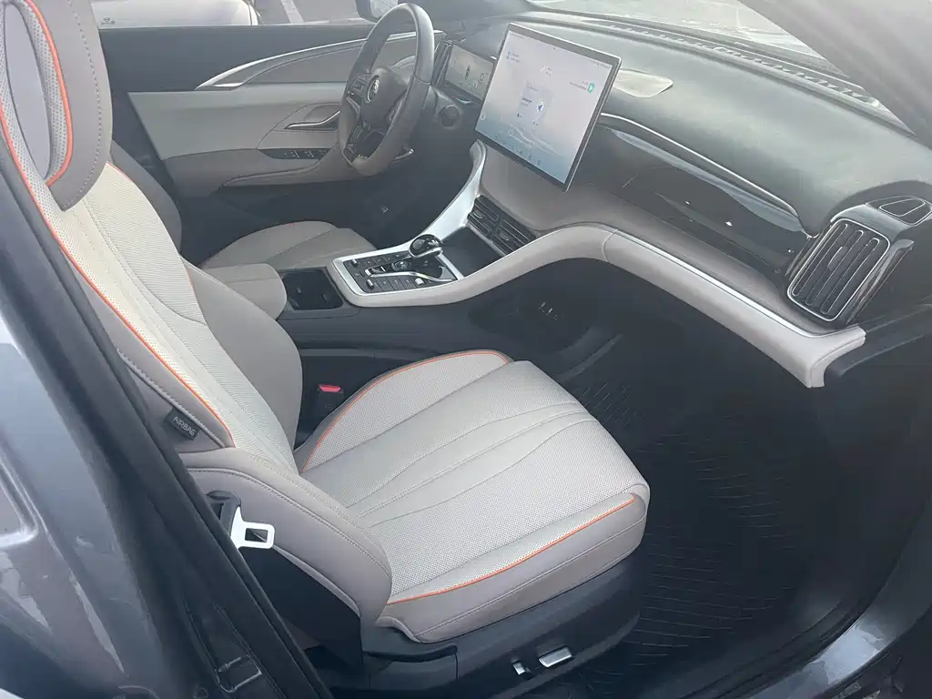 BYD Pro New Energy — миниатюра 10