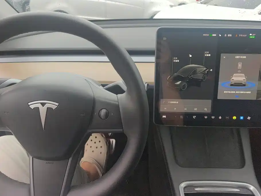 Tesla Model Y — миниатюра 13