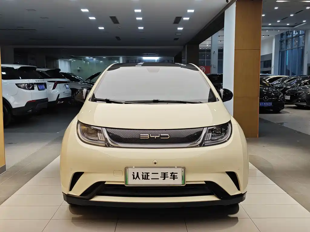BYD Dolphin 2023 420km Fashion