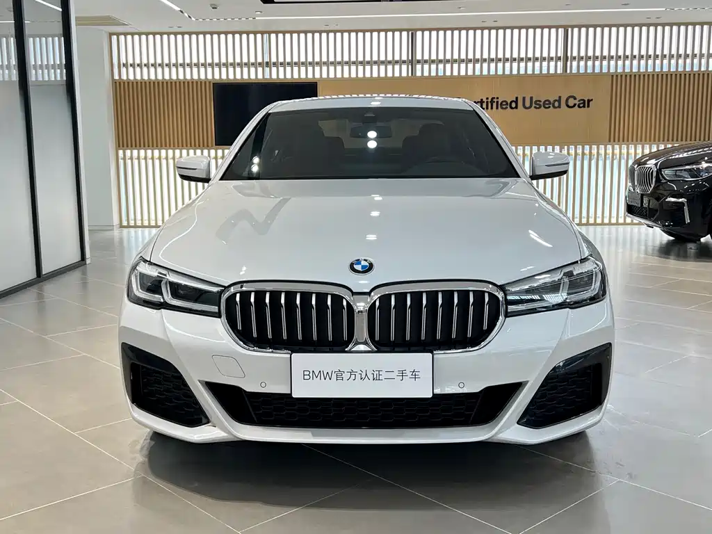 BMW 5 Series — миниатюра 2