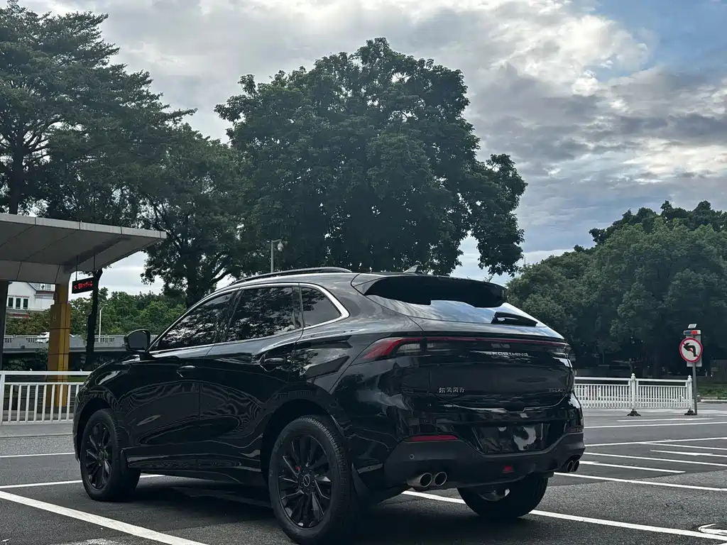 Fengxing Fengxing T5 EVO — миниатюра 4
