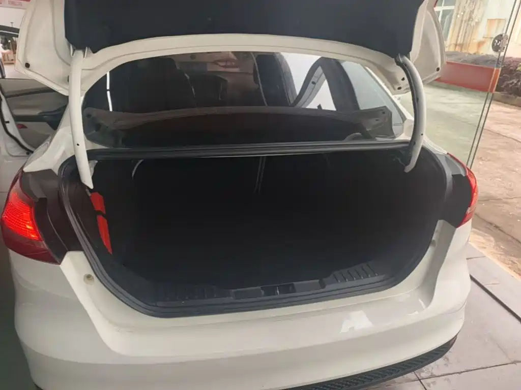 Ford Focus — миниатюра 19