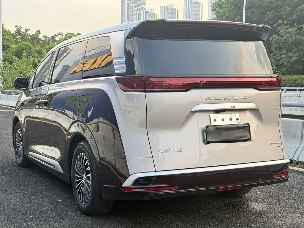 Denza Denza D9 — миниатюра 19